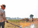 51% cut in stubble burning this season against corresponding period last year: Air quality panel