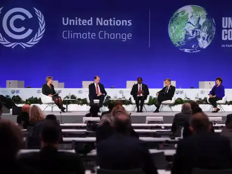 ​Present state of forests