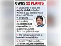 Adani targets food staples biz for expansion