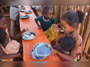 Madagascar faces 'climate change famine', warns U.N.