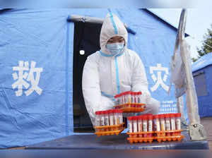 Virus Outbreak China Cats