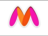 Myntra top brass exits - CFO and chief marketing officer put in papers