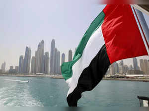FILE PHOTO: UAE flag flies over a boat at Dubai Marina
