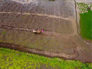 Reliance General Insurance's refusal to pay crop claims can become a law & order issue, Maharashtra tells Centre