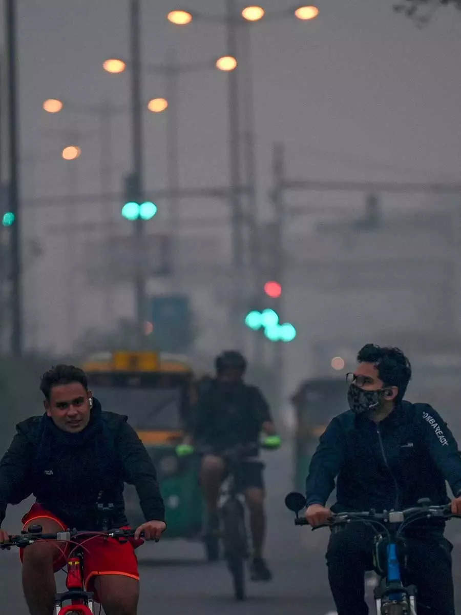 Pollution How To Lessen Pollution Woes This Winter Economictimes 6860