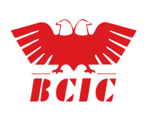 BCIC