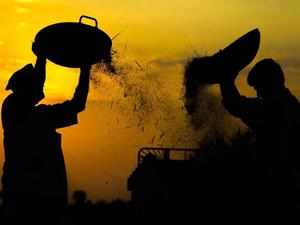 Retail inflation for farm, rural workers rose marginally in July