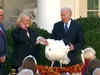 Watch: President Joe Biden grants Thanksgiving pardons to two turkeys