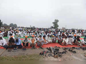 India Farmer Protests