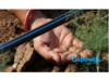 Spowdi´s zero-emission irrigation system resonates with small-hold farmers : Business Sweden
