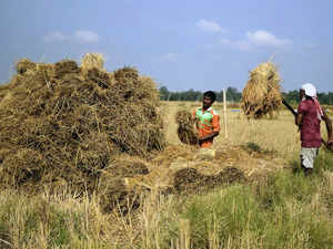 SC-appointed panel member writes to CJI urging early release of report on farm laws