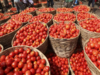 Tomato prices will continue to rise for next 45-50 days, says CRISIL Research