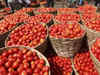 Tomato price rises to Rs 75 per kg in national capital