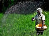 Black market for fertilizers is booming in India as prices soar