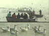 Watch: Siberian birds arrive at Ganga ghat in Varanasi