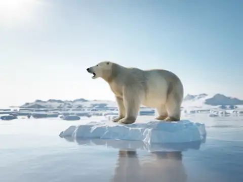 ​What will happen?