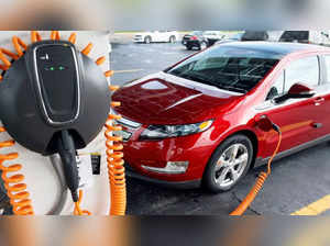 Eye on 30% electric vehicles by 2025, Goa govt gives nod to electric mobility policy