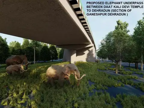 Environment-friendly