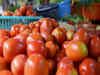 Tomato prices skyrocket to Rs 140/kg in southern India due to rains