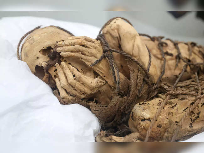 Peruvian archaeologists reveal mummy thought to be up to 1,200 years old