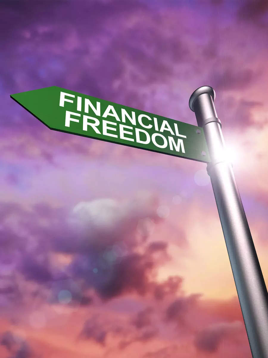 which-of-these-levels-of-financial-freedom-are-you-at-economictimes