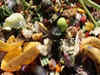 California pushes composting to lower food waste emissions