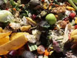 California pushes composting to lower food waste emissions