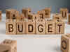 Budget 2024: How long is the average Budget speech?