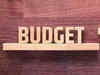 How long is the average Budget presentation speech?