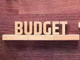 How long is the average Union Budget presentation speech?