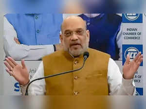 Cooperative sector has potential to give pace to country's economy: Amit Shah