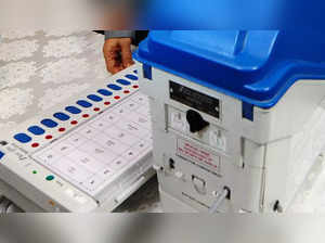 Rajasthan panchayat polls: Over 12 per cent voting recorded in early hours of polling