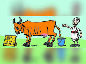 Chhattisgarh’s Godhan Nyay Banks on Dung to Push Cow Economy