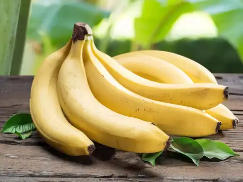Top fruits