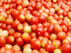 Retail prices of tomatoes down 13 per cent in last one week, 24 per cent in past one month: Govt