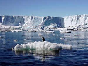 Antarctic_Reuters
