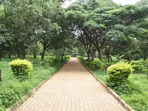 Parks open