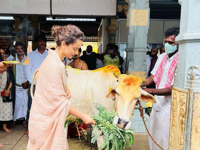 Kangana Ranaut also posted a picture of feeding fodder to a cow at the temple.