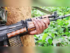 Over 8 Maoists killed in police encounter in Maharashtra's Gadchiroli