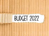 Budget 2022: Under Omicron shadow 1 80:Image