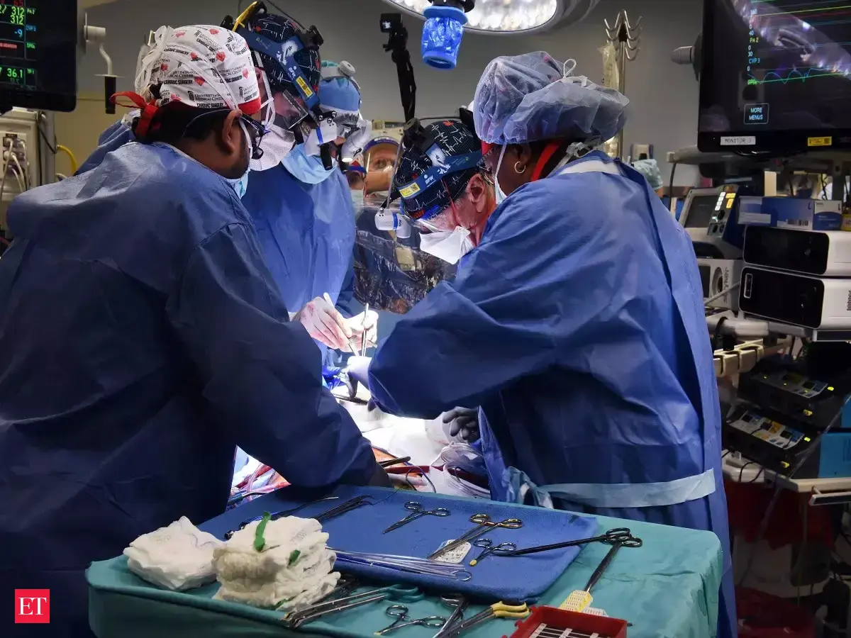 Pig heart transplant: In first, US surgeons transplant pig heart into human  patient - The Economic Times