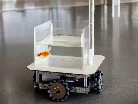​Cognitive capability