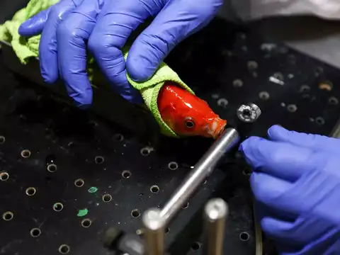 ​Robotic car