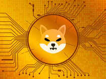 Shiba Inu is buzzing again; can it rally more?