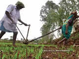 Assam government to set up Agricultural Commission
