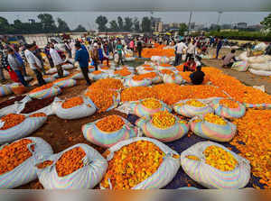Ghazipur flower market-PTI