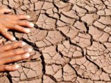 2021 fifth warmest year in India since 1901: IMD