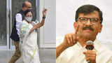 AAP, Trinamool, Shiv Sena fared poorly in previous Goa polls: Election data