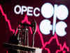 OPEC's share of Indian oil imports falls to lowest in at least 15 years