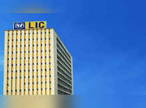 Why LIC’s big share sale is a big deal